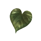 LeaveGreen